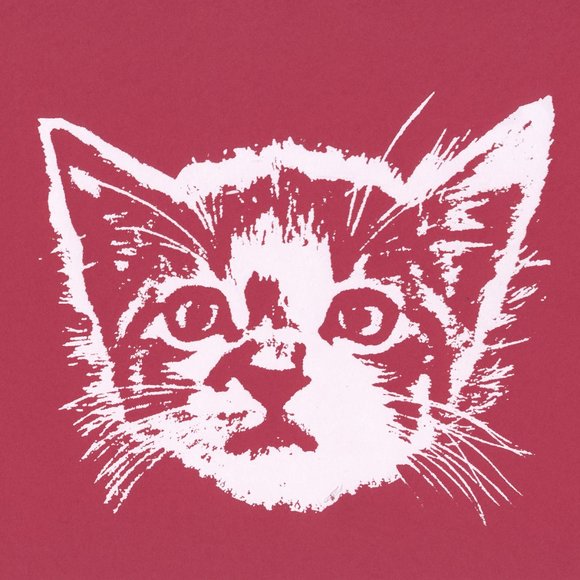 Meet your Posher, Holly - Picture 1 of 1